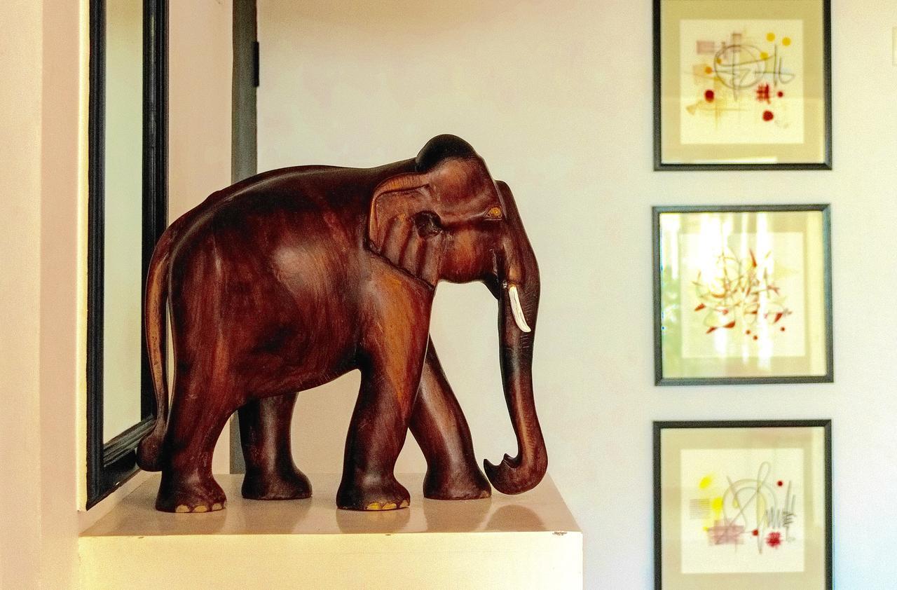 Petit Elephant Cherai Beach Dış mekan fotoğraf